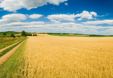 Земля сельскохозяйственного назначения